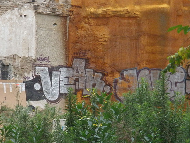 Veak graffiti photo 4