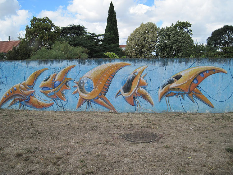 Corail graffiti photo