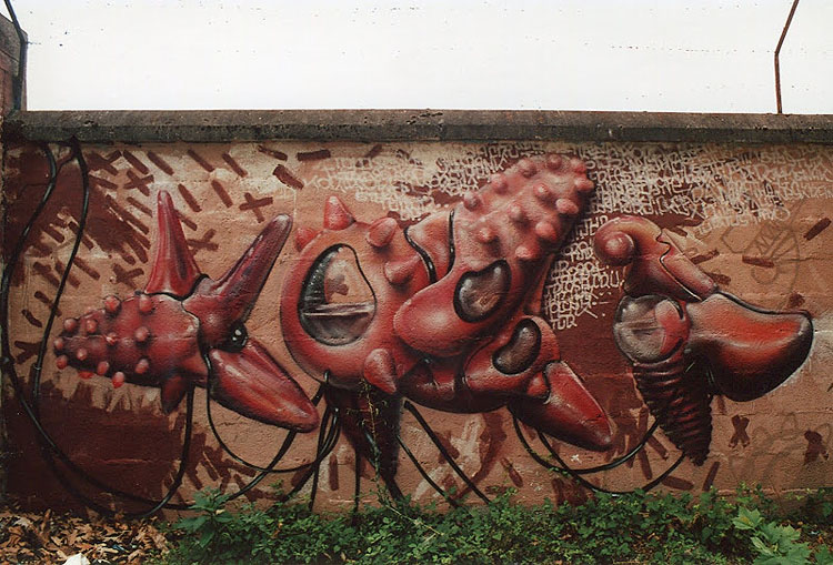 Corail graffiti photo