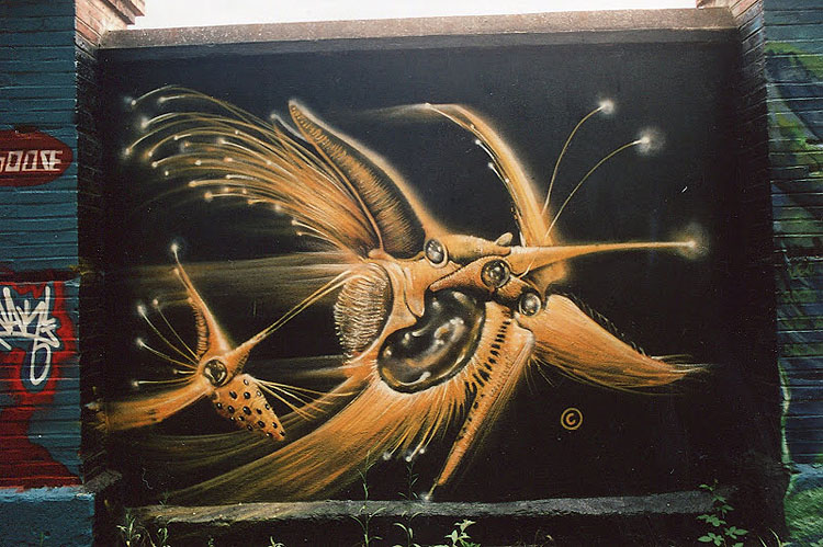 Corail graffiti photograph