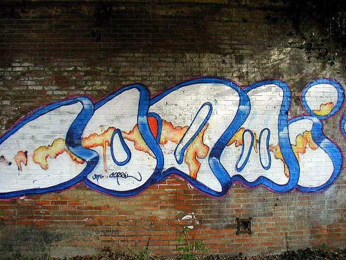 Corail graffiti photograph