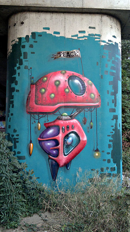 Corail graffiti photo Toulouse France