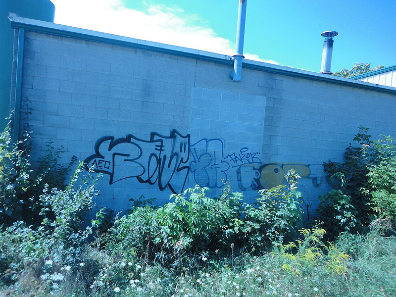 Rome graffiti photo