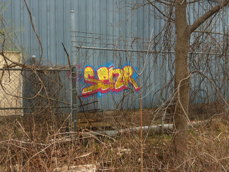 Senor graffiti photo