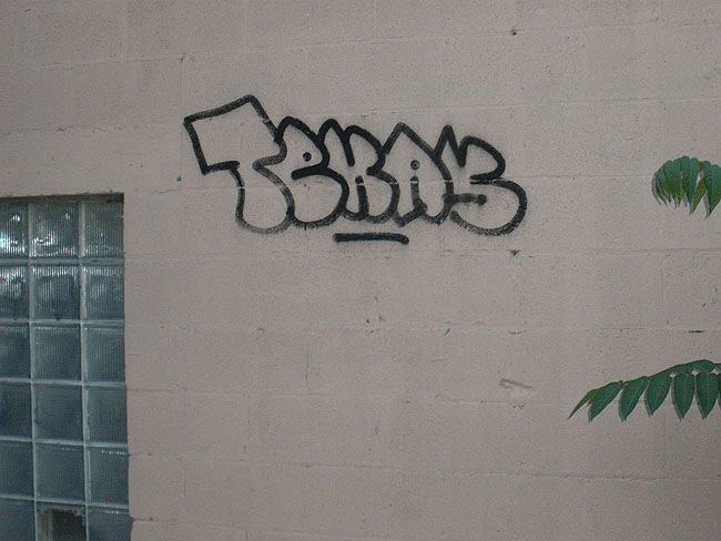 Texas graffiti photo