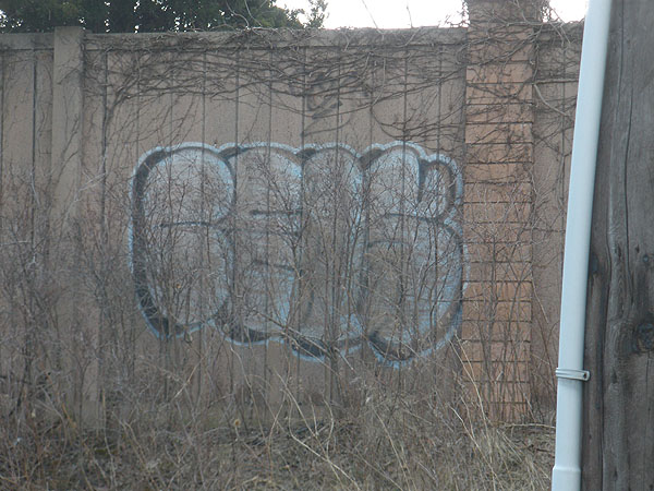 Cels Mississauga graffiti picture 2