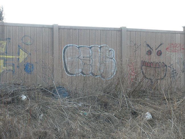 Cels Mississauga graffiti picture 3