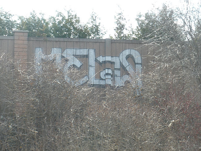 Cels Mississauga graffiti picture 4