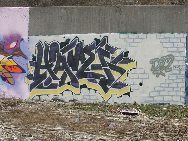 Hames Mississauga graffiti picture