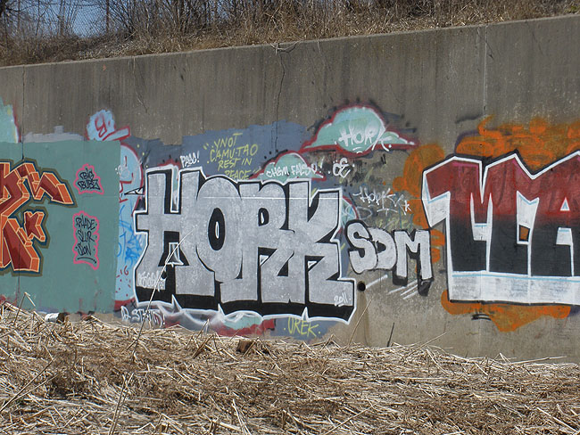 Hork Mississauga graffiti picture 6