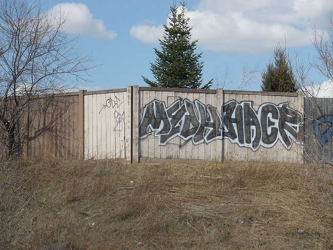 Myoh Mississauga graffiti picture