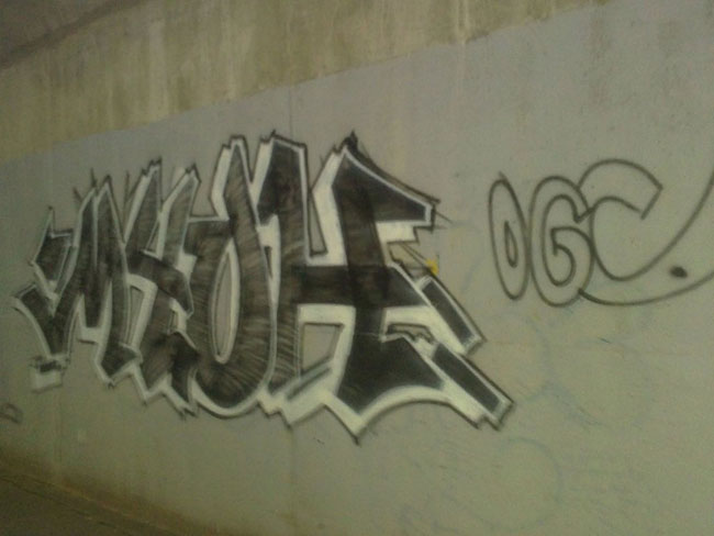 Myoh Graffiti photo