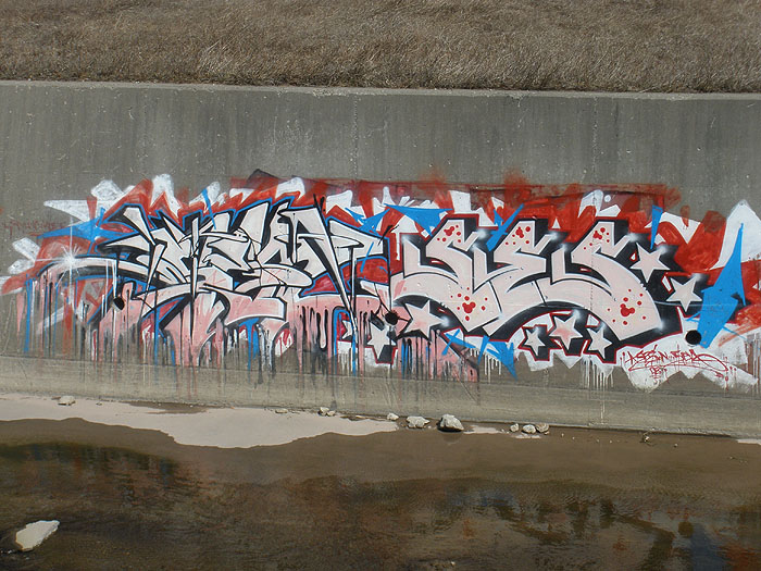 Sen Mississauga graffiti picture 13
