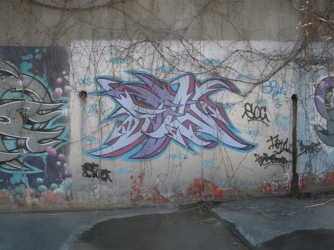 Sen Mississauga graffiti picture 17