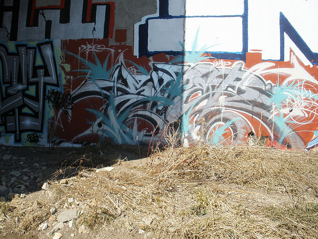Sen Mississauga graffiti picture 18
