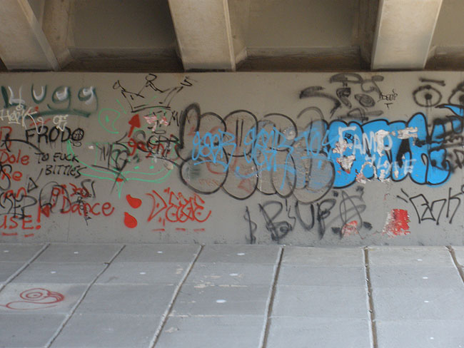 Serb Mississauga graffiti picture