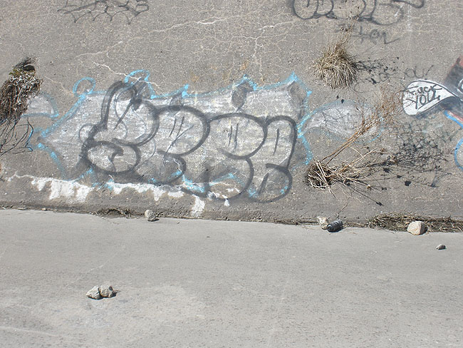 Serb Mississauga graffiti picture 4