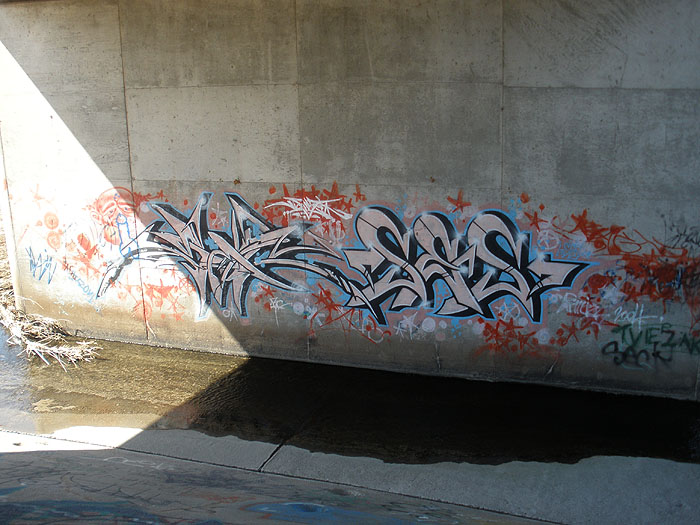 Ses Mississauga graffiti picture 3