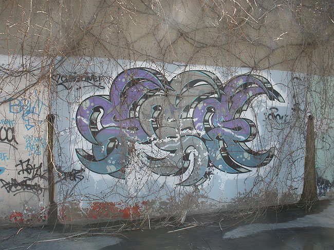 Ses Mississauga graffiti picture 12