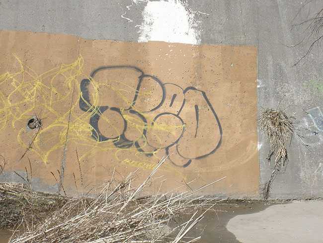 Tred Mississauga graffiti picture 2