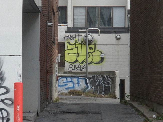 Wase Montreal photo 003