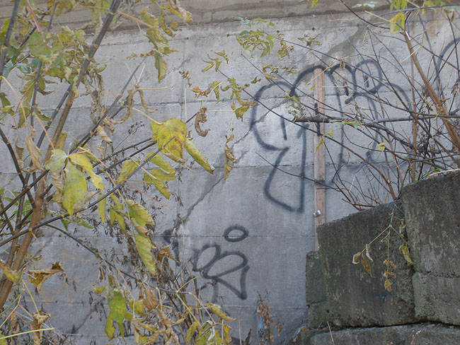Montreal Unidentified graffiti photo 111