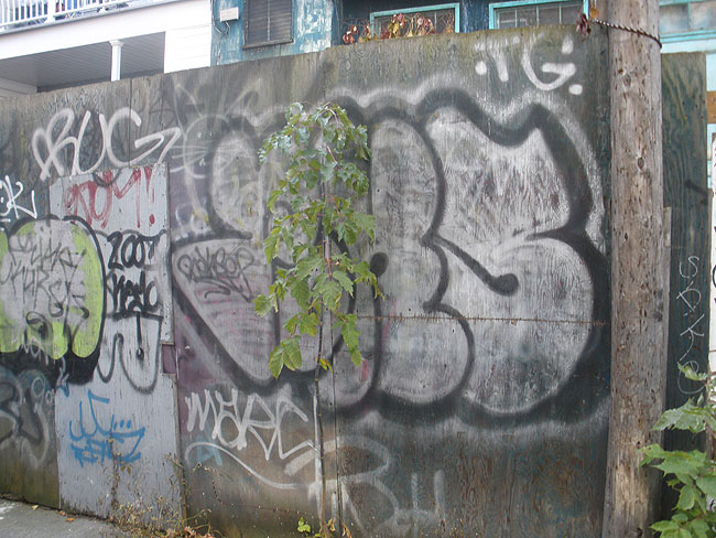 Montreal Unidentified graffiti photo 156