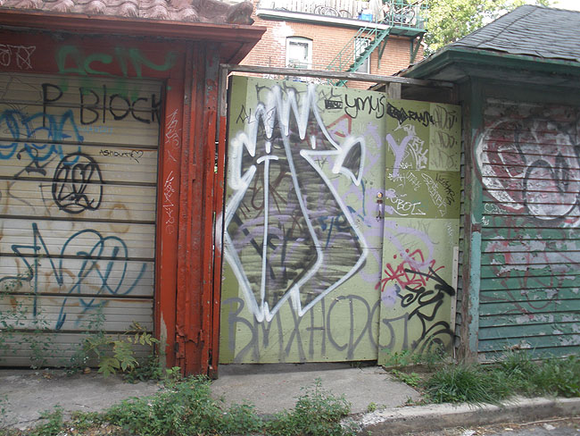 Apeks graffiti photo