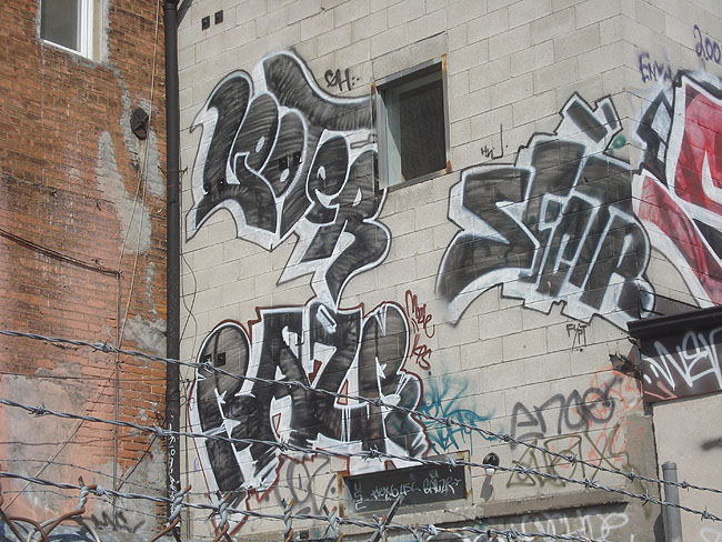 Baesr graffiti toronto pic