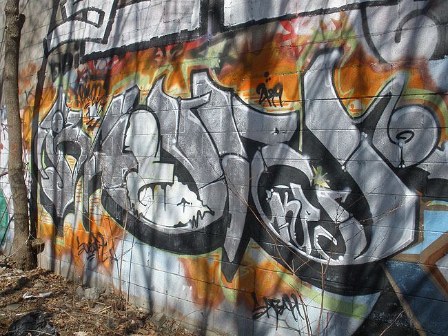 Baesr graffiti photo