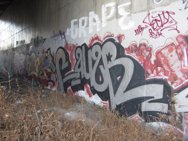 Causr graffiti photo toronto