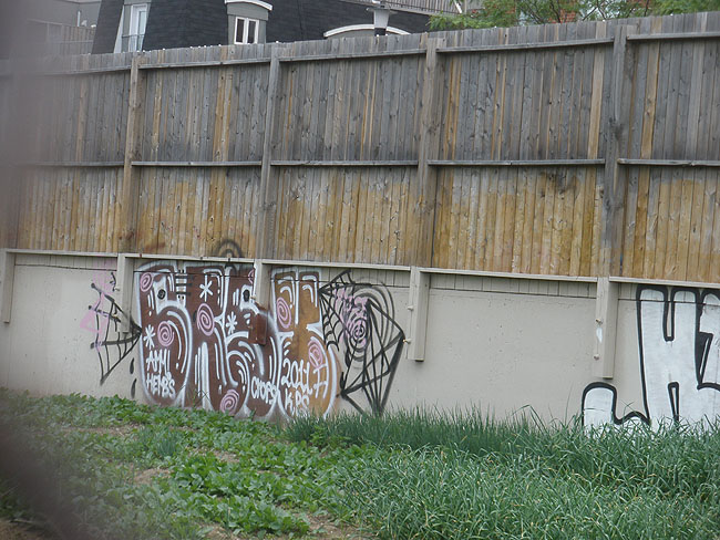 Crsy graffiti photo