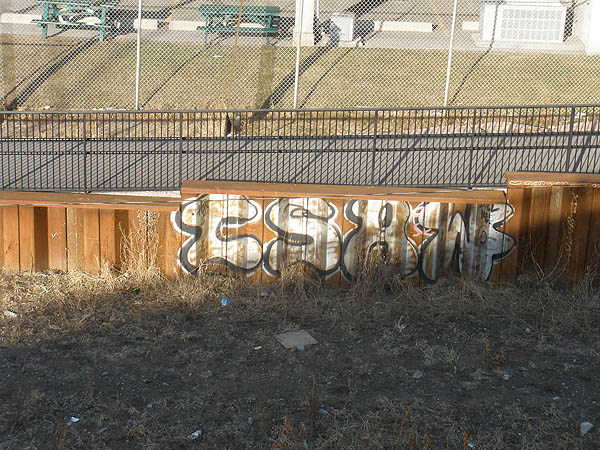 Csaw graffiti photo