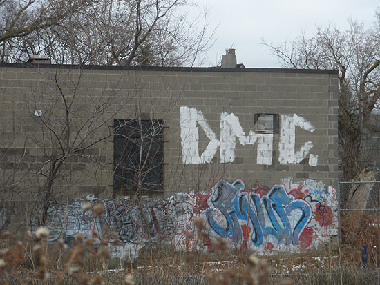 DMC 009