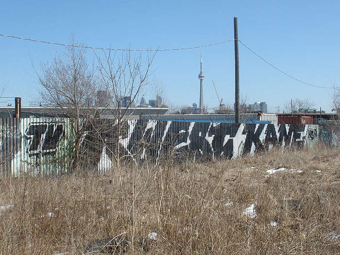 Kane graffiti photo 5