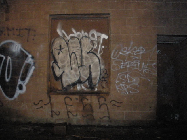 Luster toronto graffiti