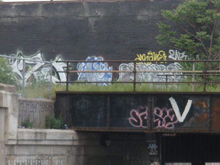 Mizu Graffiti Photo Toronto