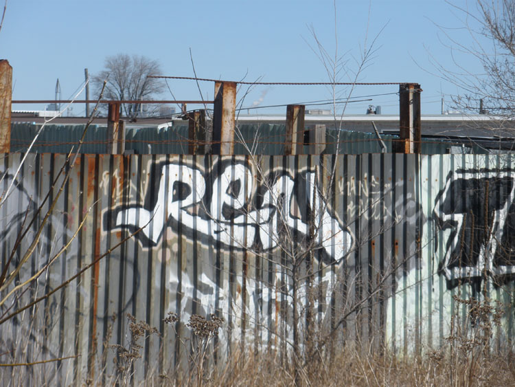 Ren graffiti photo toronto