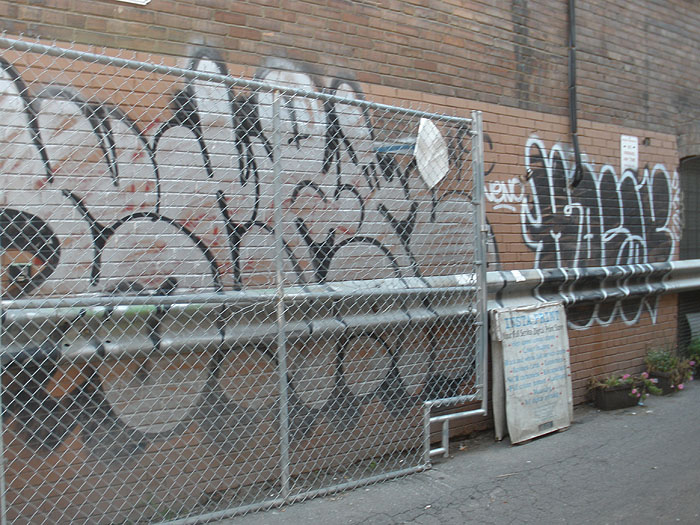 Scar graffiti photo