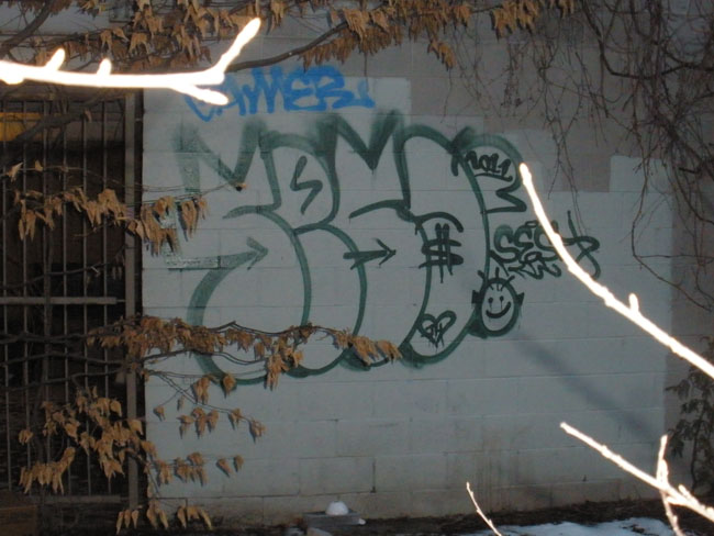 Sesa graffiti photo 9