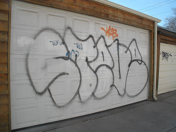 Steve graffiti photo