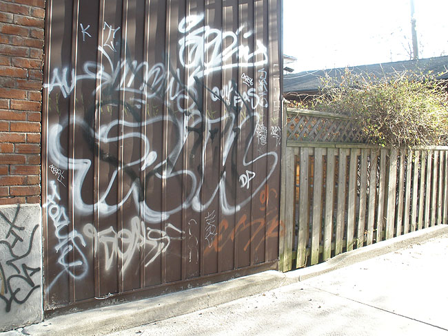 Trik graffiti photo toronto dp