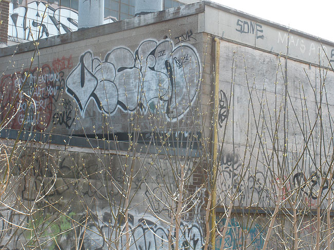 Vectr graffiti photo