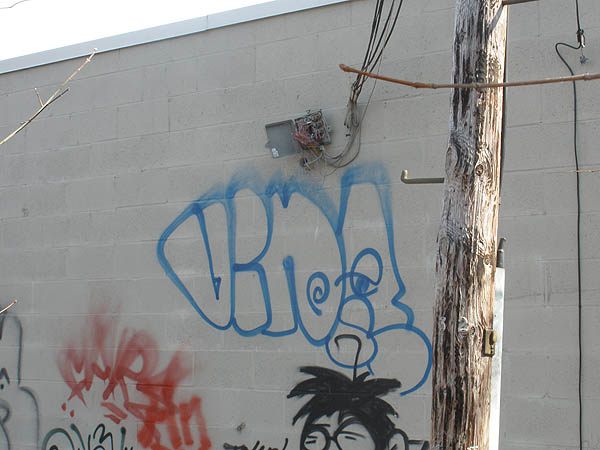 Vida graffiti photo