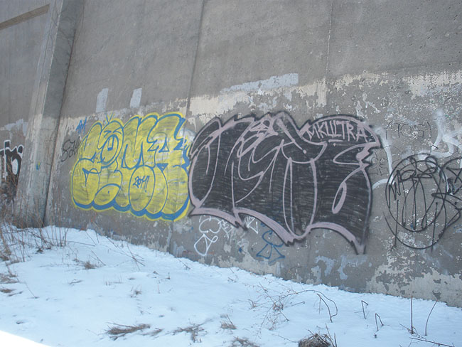 Zima toronto graffiti