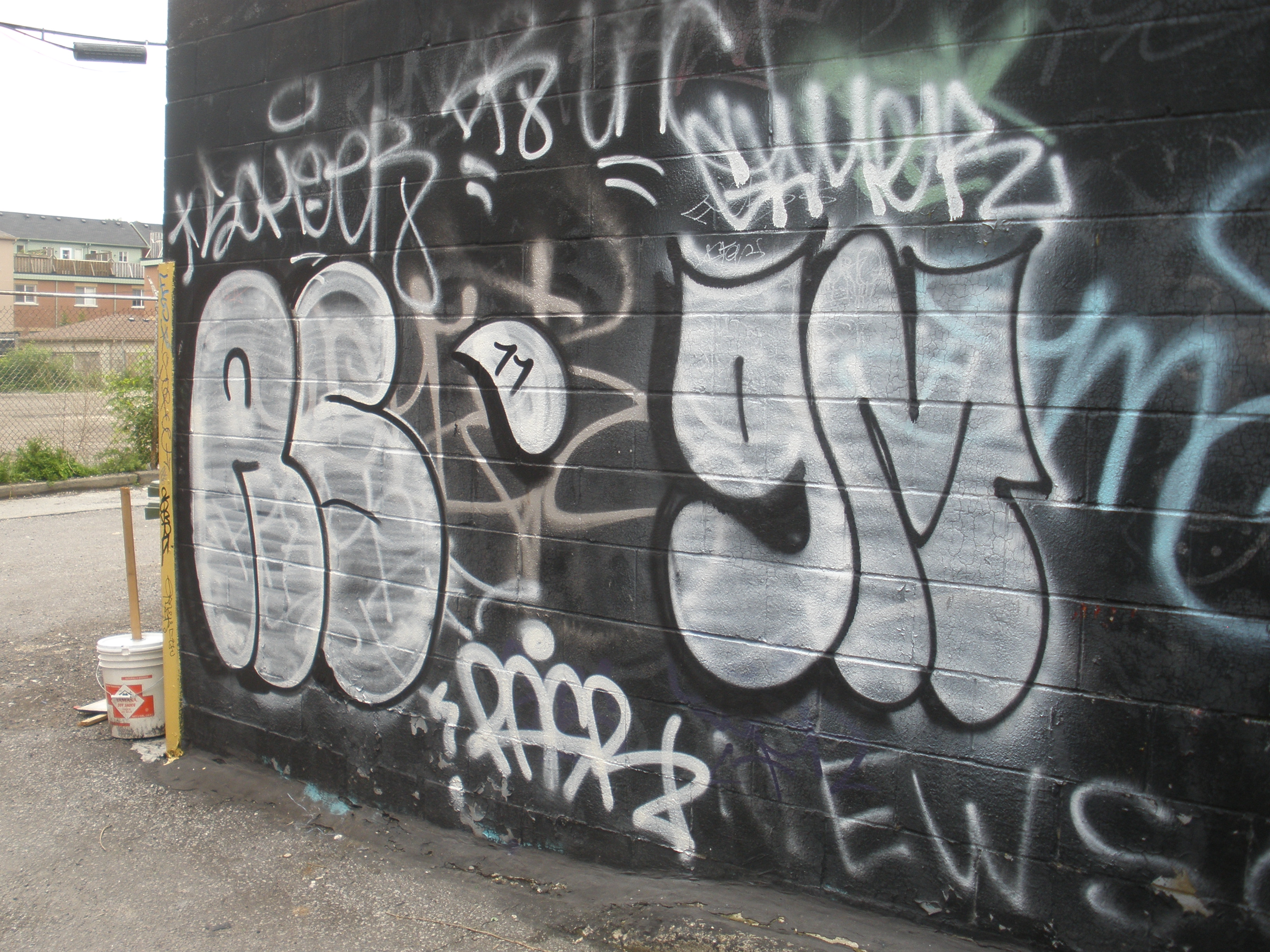 Rasr Toronto graffiti picture